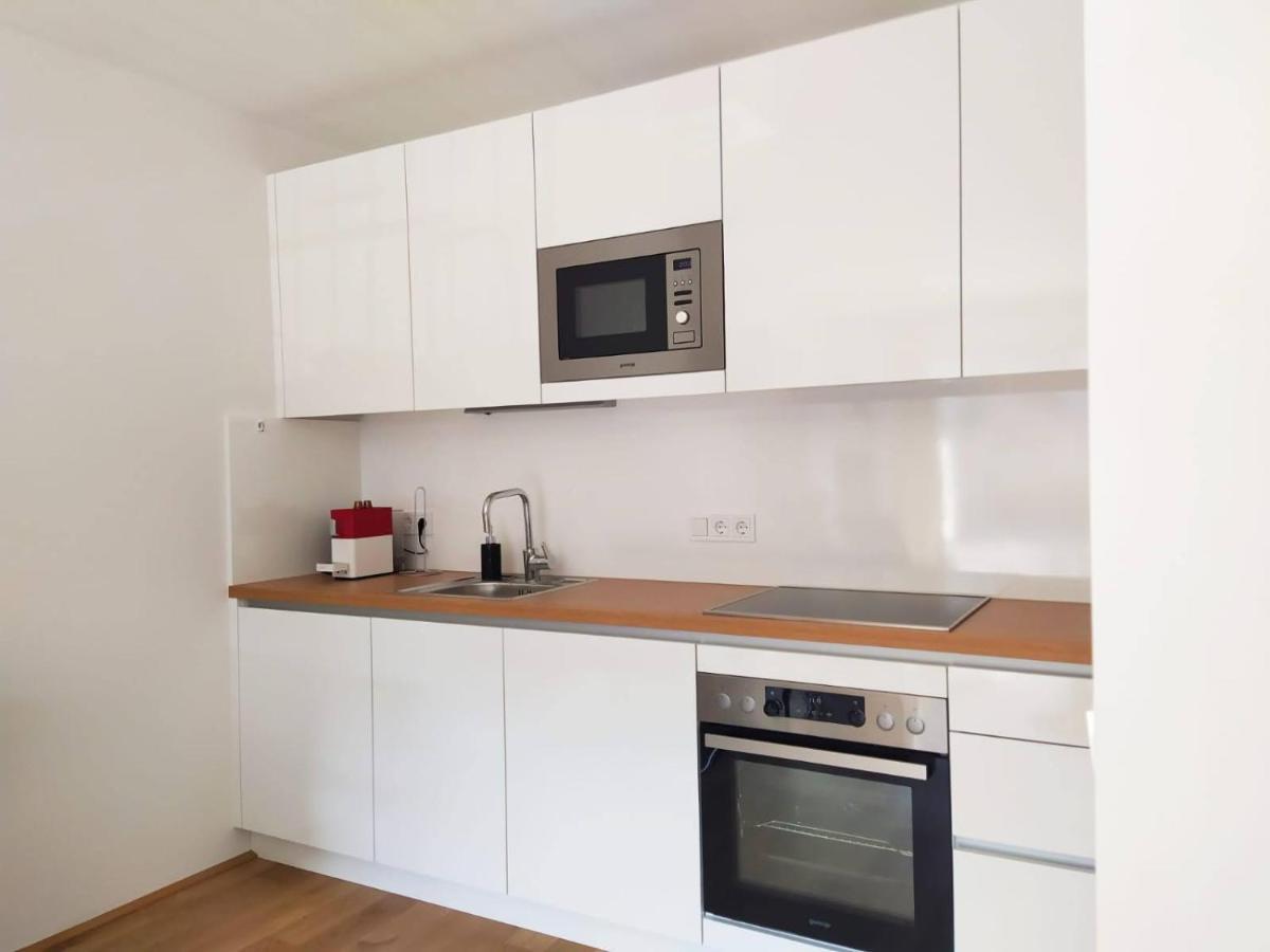 Deluxe Parkapartment Vienna City Center - Free Parking! Екстериор снимка
